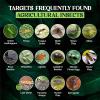 imageCatchmaster Dual Action Plant Labels 100 PK Sticky Insect Trap Plant Stakes for Live Plants Indoor Outdoor Fruit Fly Trap Glue Traps for Home Farm Garden Hydroponics ampamp Greenhouse Pest ControlYellow
