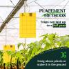 imageCatchmaster Dual Action Plant Labels 100 PK Sticky Insect Trap Plant Stakes for Live Plants Indoor Outdoor Fruit Fly Trap Glue Traps for Home Farm Garden Hydroponics ampamp Greenhouse Pest ControlYellow