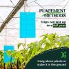 imageCatchmaster Dual Action Plant Labels 100 PK Sticky Insect Trap Plant Stakes for Live Plants Indoor Outdoor Fruit Fly Trap Glue Traps for Home Farm Garden Hydroponics ampamp Greenhouse Pest ControlBlue