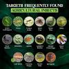 imageCatchmaster Dual Action Plant Labels 100 PK Sticky Insect Trap Plant Stakes for Live Plants Indoor Outdoor Fruit Fly Trap Glue Traps for Home Farm Garden Hydroponics ampamp Greenhouse Pest ControlYellow