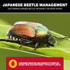 imageCatchmaster Japanese Beetle Traps Outdoor 3PK Flying Insect Trap Bag with Lid ampamp Dual Pheromone Food Lure Hanging Bug Catcher Pest Control for Backyard ampamp Garden Plants Trees Vegetables ampamp FlowersLid 6 Pack