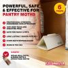 imageCatchmaster Pantry Pest ampamp Moth Traps 2Pk Bug Killer for Kitchen Storage ampamp Pantry Cabinet Sticky Moth Traps for House Protect Pet Food Kitchen Cabinets Storage Pet Safe Glue TrapWhite