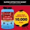 imageCatchmaster Reusable Fly Traps Outdoor Jar 1Pack Bug Catcher and Flying Insect Trap with FoodBased Lure for Pest Control Pet Safe Non Toxic Bulk Fly Traps1Pack