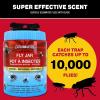 imageCatchmaster Reusable Fly Traps Outdoor Jar 1Pack Bug Catcher and Flying Insect Trap with FoodBased Lure for Pest Control Pet Safe Non Toxic Bulk Fly Traps2Pack
