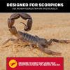 imageCatchmaster Scorpion Glue Tray Traps 6Pack Adhesive Scorpion Killer for Home Simple Insect Traps Indoor Sticky Bug Catcher for Kitchen Garage ampamp Basement Pet Safe Pest Control Glue Trap