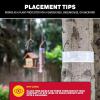 imageCatchmaster Tree Shield Lantern Fly ampamp Ant Traps Insect Barrier 4 Rolls 30ft Each Outdoor Adhesive Crawling Insect Trap Glue Traps to Protect Trees Fruit ampamp Plants Pest Control Lawn ampamp Garden4 Rolls