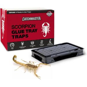 imageCatchmaster Scorpion Glue Tray Traps 6Pack Adhesive Scorpion Killer for Home Simple Insect Traps Indoor Sticky Bug Catcher for Kitchen Garage ampamp Basement Pet Safe Pest Control Glue Trap