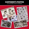 imageCatchmaster Cricket XL Giant Glue Boards 6Pk Adhesive Bug Catcher Cricket Traps Indoor Sticky Trap for Inside Your Home Bulk Insect Killer Insect Traps for House ampamp Garage Pet Safe Pest Control48 Traps
