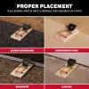 imageCatchmaster Instant Kill Mouse Snap Traps  12 Count Ready for Use Indoors ampamp Outdoors Wood DoubleTension Springs WeatherResistant CorrosionResistant Disposable PoisonFree NonToxic72