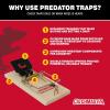 imageCatchmaster Instant Kill Mouse Snap Traps  12 Count Ready for Use Indoors ampamp Outdoors Wood DoubleTension Springs WeatherResistant CorrosionResistant Disposable PoisonFree NonToxic72