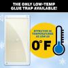 imageCatchmaster Rat Snake and Mouse Traps 10Pk Large Bulk Glue Rat Traps for Home PreScented Adhesive Plastic Tray for Inside House Snake Mice ampamp Spider Catcher Pet Safe Pest Control6 Pack