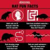 imageCatchmaster The Claw Quick Set Rat Snap Trap 6Pk Mouse Traps Indoor for Home Reusable Rodent Killer for House Outdoor Critter Catcher Eco Friendly Pest Control for Garage Basement ampamp Kitchen