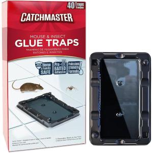 imageCatchmaster Cold Weather Mouse Traps Indoor for Home 6PK Winter Pest Control Adhesive Tray for Bugs Crickets ampamp Spiders Pet Safe Glue Traps for Mice in Basement WalkIn Fridge Warehouse ampamp Garage40 Traps