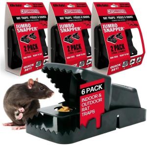 imageCatchmaster Jumbo Snapper Mouse Traps 6Pk Mouse Traps Indoor for Home Reusable Rodent Killer for House Outdoor Critter Catcher Eco Friendly Pest Control for Garage Basement ampamp KitchenJumbo Snapper Trap  Rat