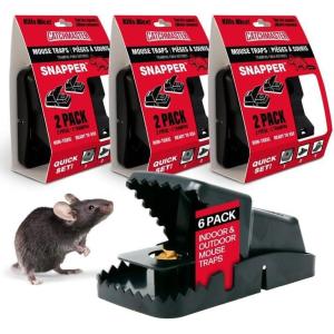 imageCatchmaster Jumbo Snapper Mouse Traps 6Pk Mouse Traps Indoor for Home Reusable Rodent Killer for House Outdoor Critter Catcher Eco Friendly Pest Control for Garage Basement ampamp KitchenSnapper Trap  Mouse