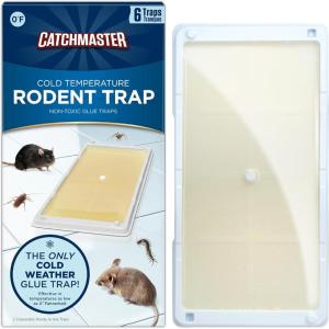 imageCatchmaster Rat Snake and Mouse Traps 10Pk Large Bulk Glue Rat Traps for Home PreScented Adhesive Plastic Tray for Inside House Snake Mice ampamp Spider Catcher Pet Safe Pest Control6 Pack