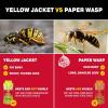 imageCatchmaster Yellow Jacket Hornet ampamp Wasp Trap Jar Bait Refill 2Pk Reusable Bug Catcher Attractant Outdoor Flying Insect Trap Wasp Killer Bug Trap Pet Safe Pest Control for Backyard ampamp PatioJar Trap 2Pk