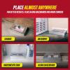 imageCatchmaster MultiCatch Mouse Trap Humane Mouse Trap Indoor for Home Includes 1 Replaceable Glue Board Live Catch Pest Control for Garage ampamp Shed WhiteMetallic